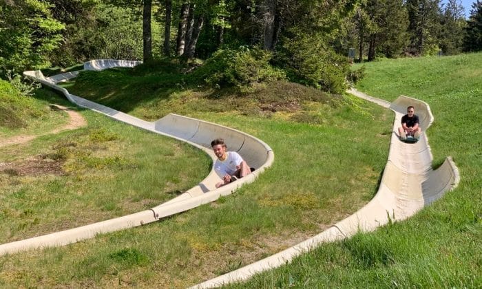 Luge d&rsquo;été à la Schlucht
